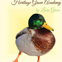 Waterfowl - Ducks, Geese, Swans - Notebooking Writing Journal Pages