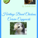 Chicken Breeds Handwriting Copywork Pages