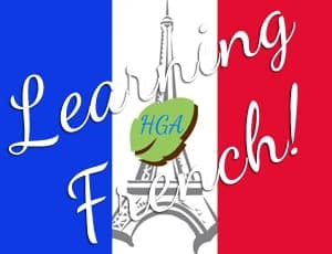 Learn French with Music and Audio in Homeschool for Kids
