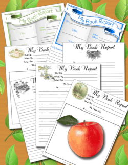 Homeschool Book Report Pages