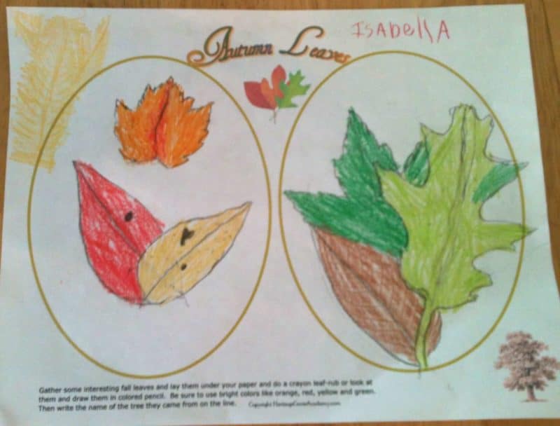 Autumn Leaves Pages Homeschool