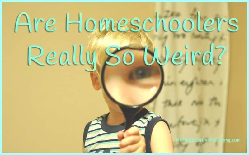Why are homeschoolers considered weird?