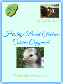 Heritage Breed Chicken Study - Cursive Handwriting Copywork