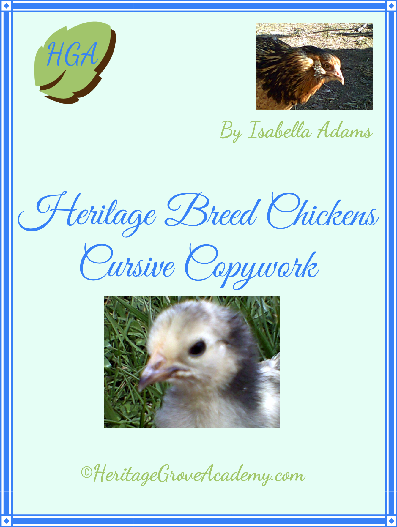 Chicken - Heritage Breed Handwriting Copywork