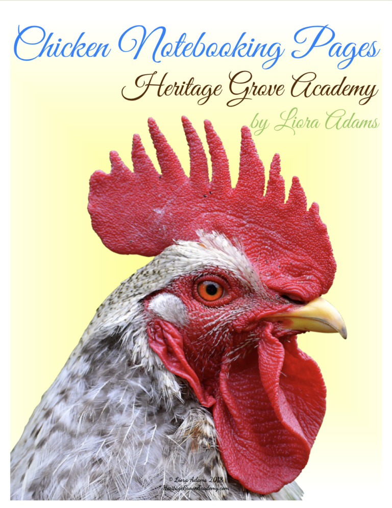 Blank notebooking pages with chickens