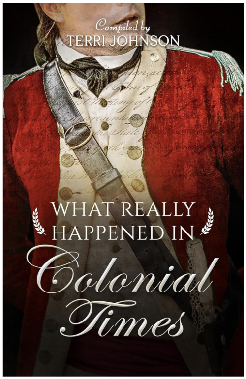 what really happened in the Colonial Times Historical Fiction Stories Book